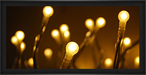 ������վӪ��